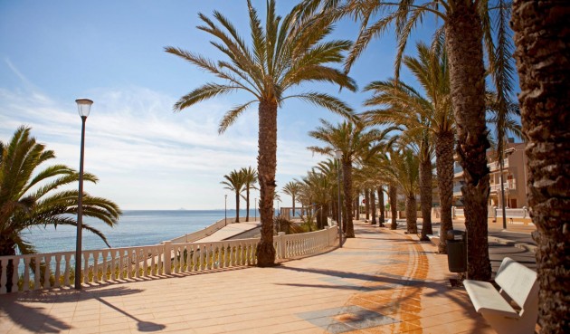 Återförsäljning - Apartment -
Pilar de la Horadada - Torre De La Horadada