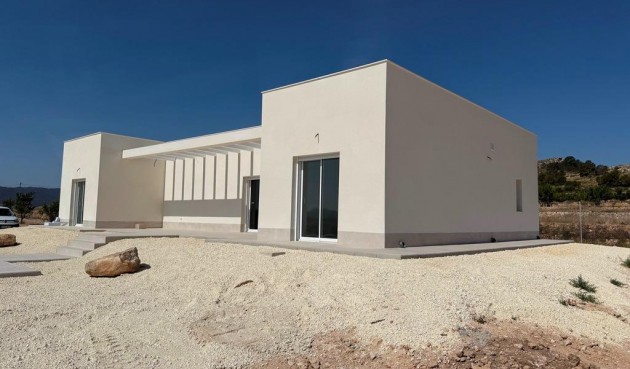 New Build - Villa -
Pinoso - Camino Del Prado