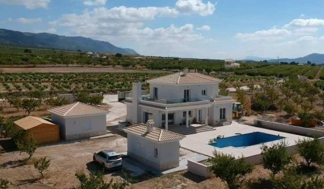 New Build - Villa -
Pinoso - Camino Del Prado