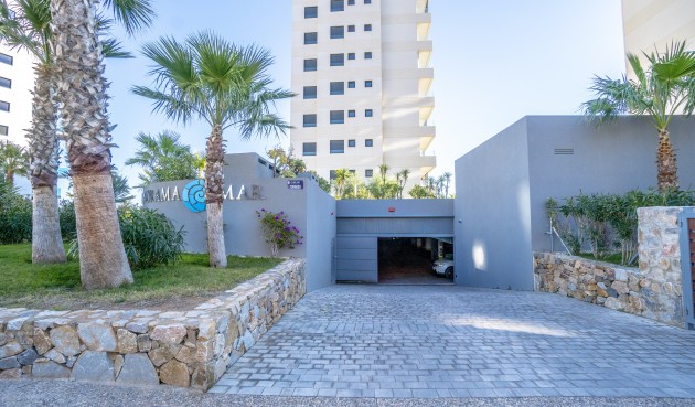 Resale - Apartment -
Torrevieja - Costa Blanca