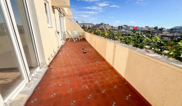 Resale - Apartment -
Torrevieja - Costa Blanca