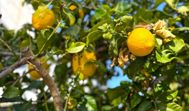 Återförsäljning - Villa -
Orihuela Costa - Costa Blanca