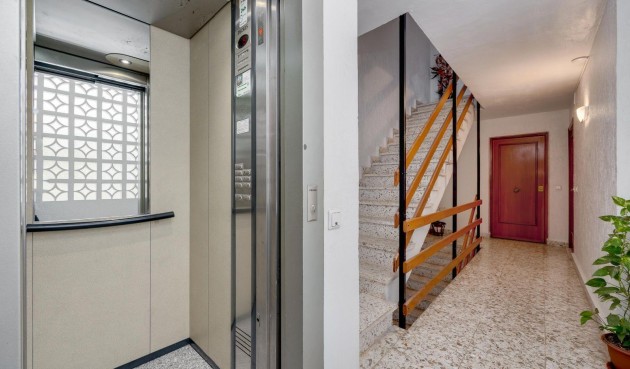 Resale - Apartment -
Torrevieja - Centro