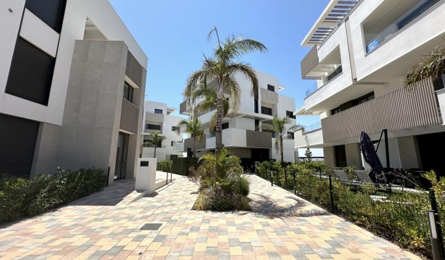 Brukt - Apartment -
Santa Rosalia Resort - Inland