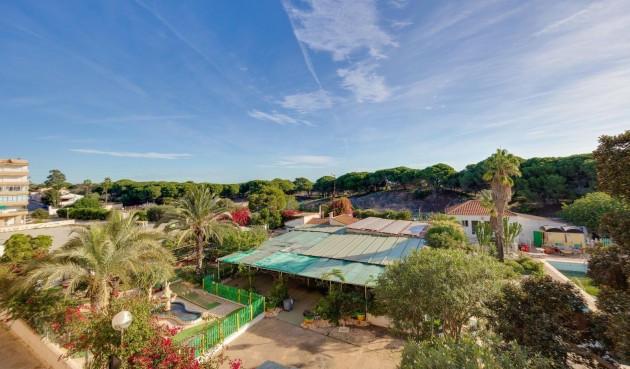 Resale - Apartment -
Guardamar del Segura - Pinomar