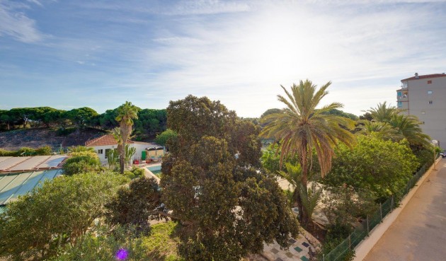 Resale - Apartment -
Guardamar del Segura - Pinomar