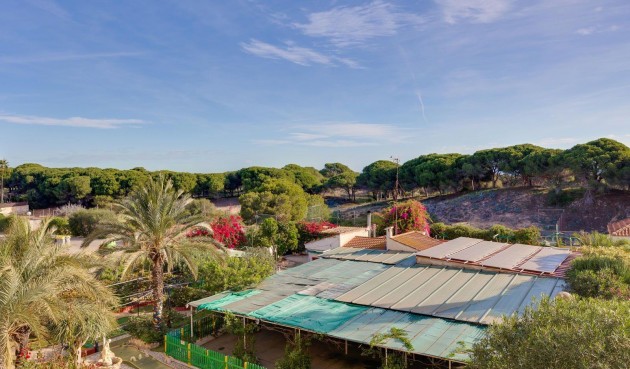 Resale - Apartment -
Guardamar del Segura - Pinomar