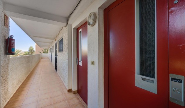 Resale - Apartment -
Guardamar del Segura - Pinomar