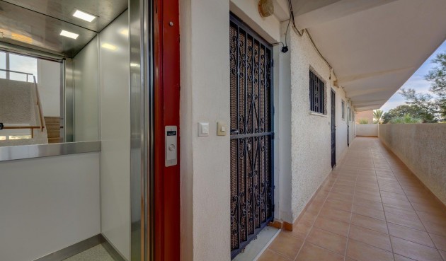Resale - Apartment -
Guardamar del Segura - Pinomar