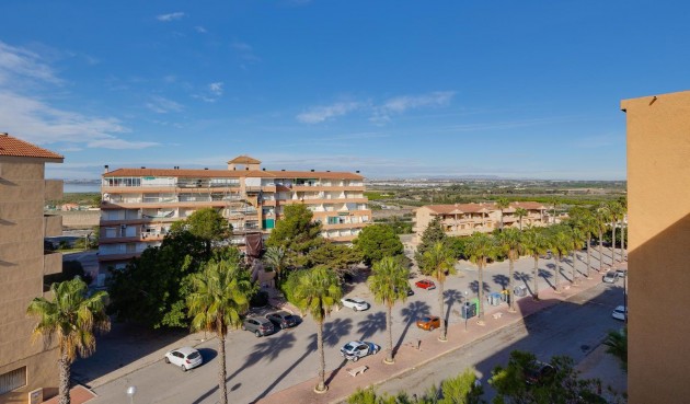 Resale - Apartment -
Guardamar del Segura - Pinomar