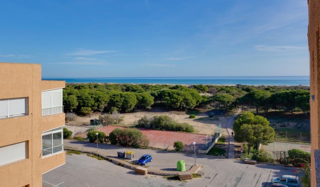 Resale - Apartment -
Guardamar del Segura - Pinomar