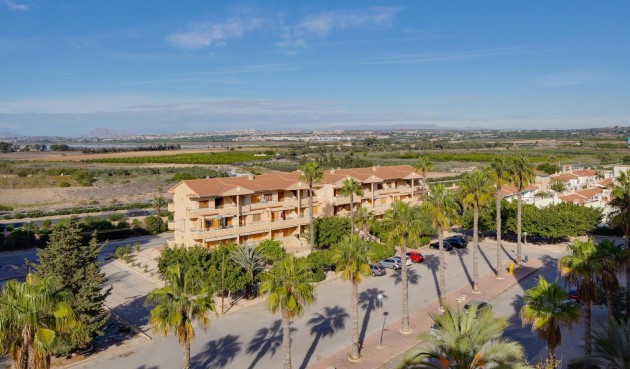 Resale - Apartment -
Guardamar del Segura - Pinomar