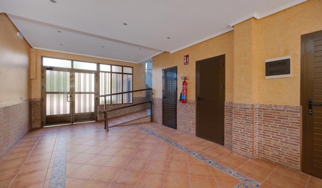 Resale - Apartment -
Guardamar del Segura - Pinomar