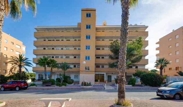 Resale - Apartment -
Guardamar del Segura - Pinomar