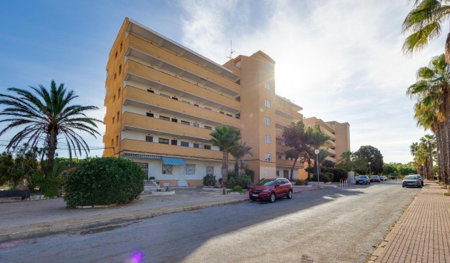 Resale - Apartment -
Guardamar del Segura - Pinomar