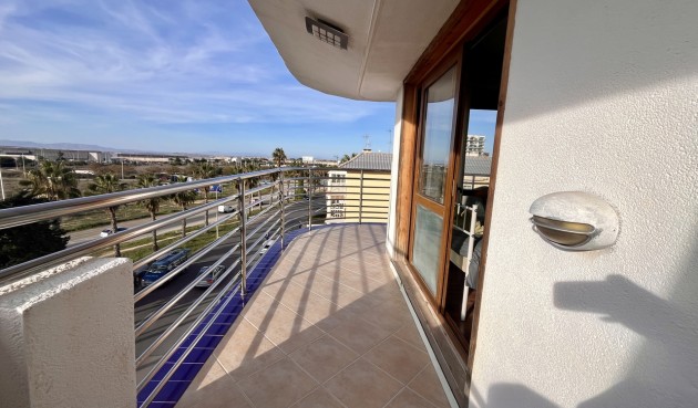 Resale - Apartment -
Torrevieja - Costa Blanca