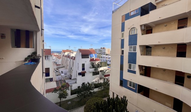 Resale - Apartment -
Torrevieja - Costa Blanca