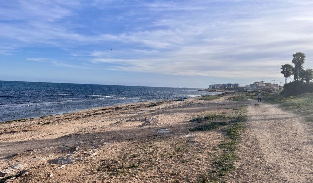 Resale - Apartment -
Torrevieja - Costa Blanca