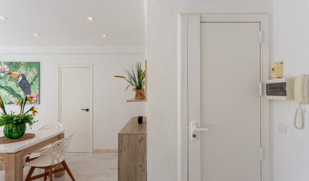 Brukt - Apartment -
Torrevieja - Costa Blanca