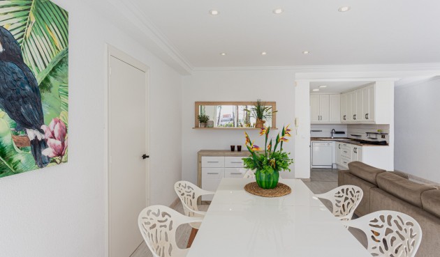 Brukt - Apartment -
Torrevieja - Costa Blanca