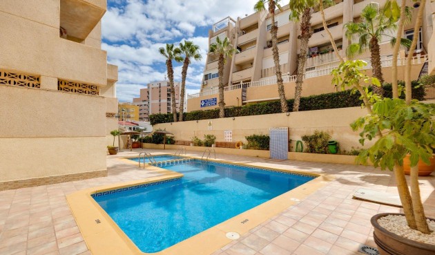Resale - Apartment -
Torrevieja - Cabo Cervera