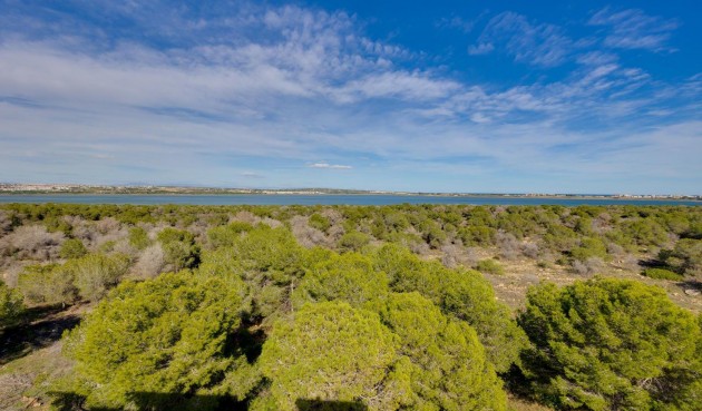 Brukt - Apartment -
Torrevieja - La Siesta - El Salado - Torreta