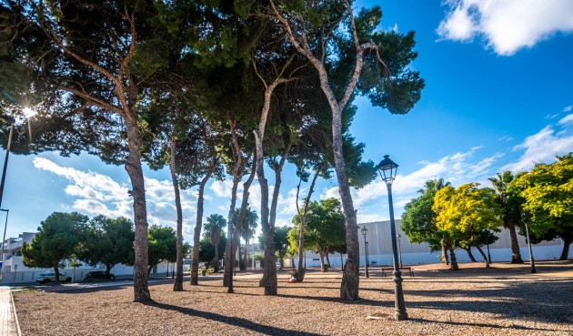 Resale - Penthouse -
San Pedro del Pinatar - Costa Calida