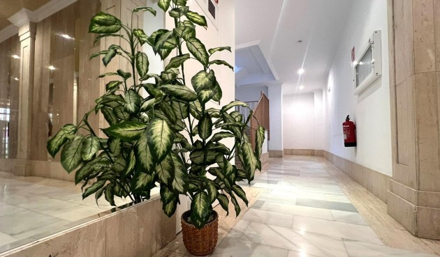 Resale - Apartment -
Torrevieja