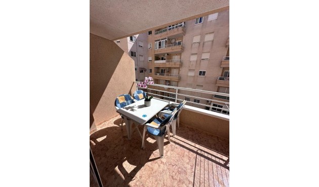 Brukt - Apartment -
Torrevieja - Centro - Muelle Pesquero