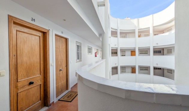Återförsäljning - Apartment -
Torrevieja - Costa Blanca