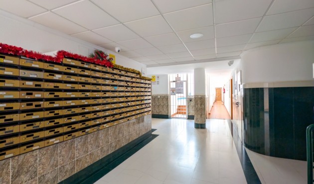 Återförsäljning - Apartment -
Torrevieja - Costa Blanca