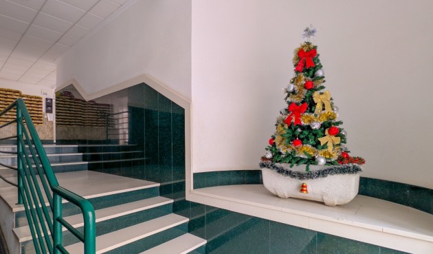 Återförsäljning - Apartment -
Torrevieja - Costa Blanca