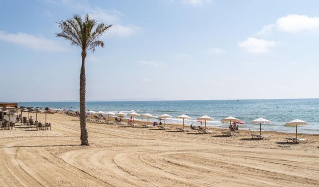 Obra nueva - Ático -
Guardamar del Segura - Pueblo