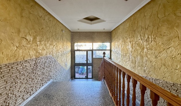 Reventa - Apartment -
Torrevieja - Costa Blanca