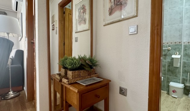 Reventa - Apartment -
Torrevieja - Costa Blanca