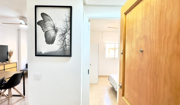 Brukt - Apartment -
Torrevieja - Centro