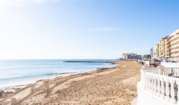 Obra nueva - Bungalow -
Torrevieja - Lago Jardín II