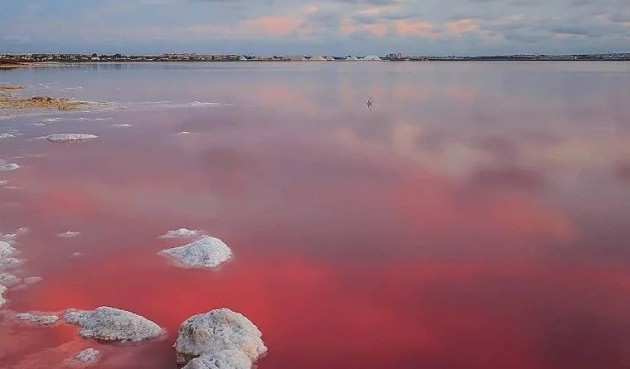 Obra nueva - Bungalow -
Torrevieja - Lago Jardín II