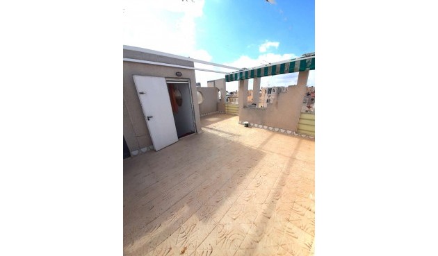 Återförsäljning - Bungalow -
Torrevieja - Costa Blanca