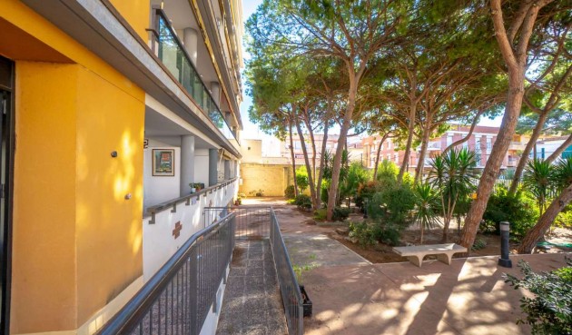 Brukt - Apartment -
Lo Pagan - Costa Calida