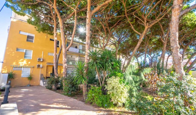 Brukt - Apartment -
Lo Pagan - Costa Calida