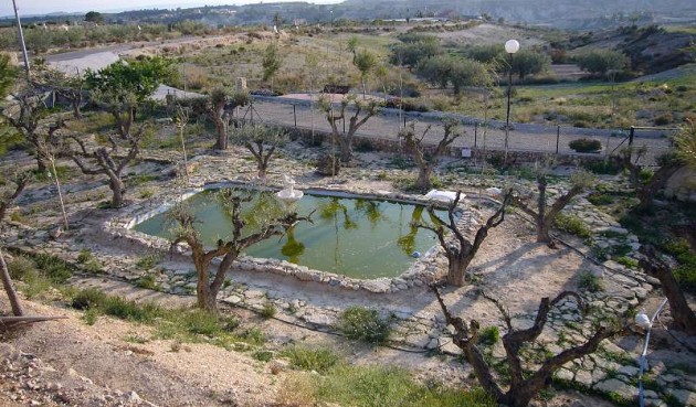 Resale - Villa -
Abanilla - Inland