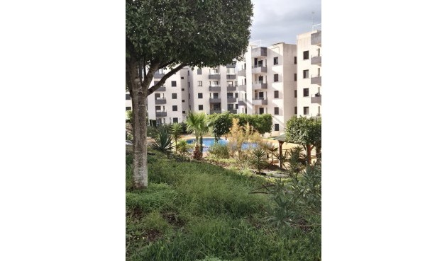 Brukt - Apartment -
San Miguel de Salinas - Inland