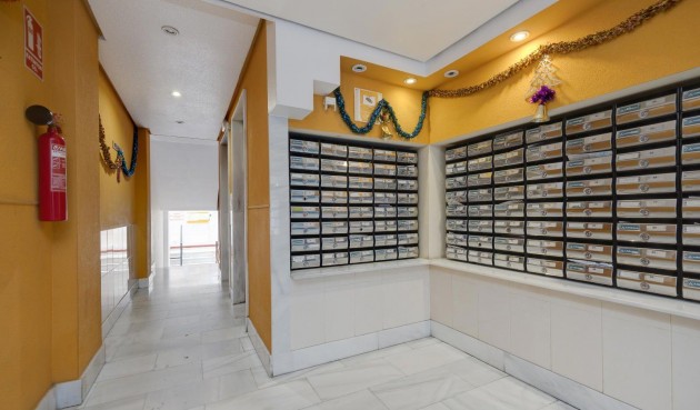 Reventa - Apartment -
Torrevieja - Centro