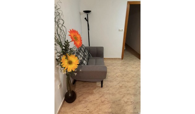 Brukt - Apartment -
Torrevieja - Costa Blanca