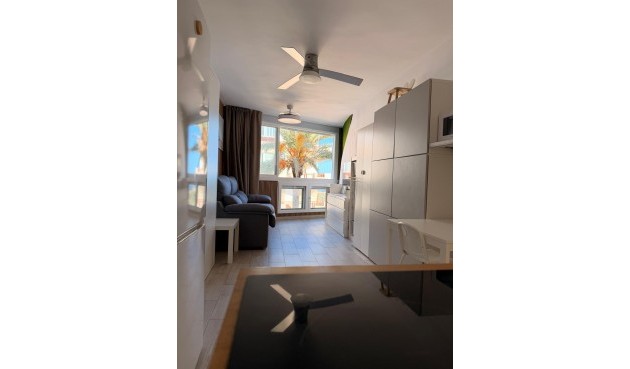 Brukt - Apartment -
Pilar de la Horadada - Mil Palmeras