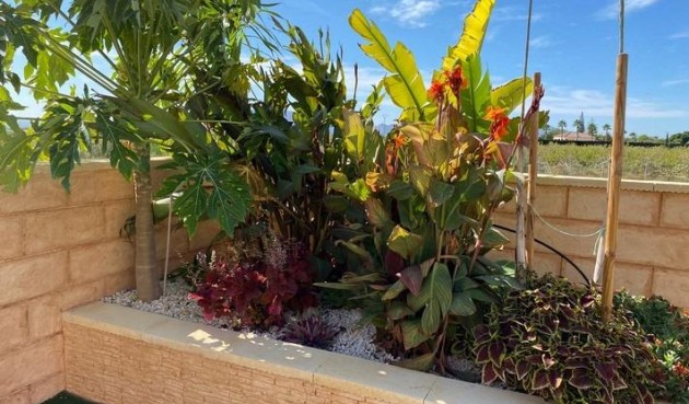 Brukt - Villa -
Albatera - Campo De Albatera