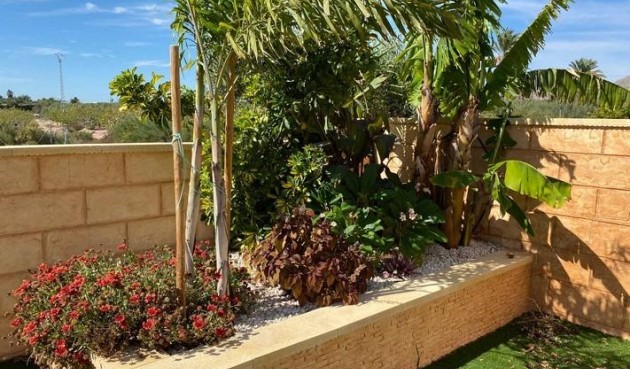 Brukt - Villa -
Albatera - Campo De Albatera