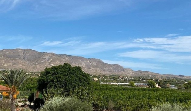 Brukt - Villa -
Albatera - Campo De Albatera