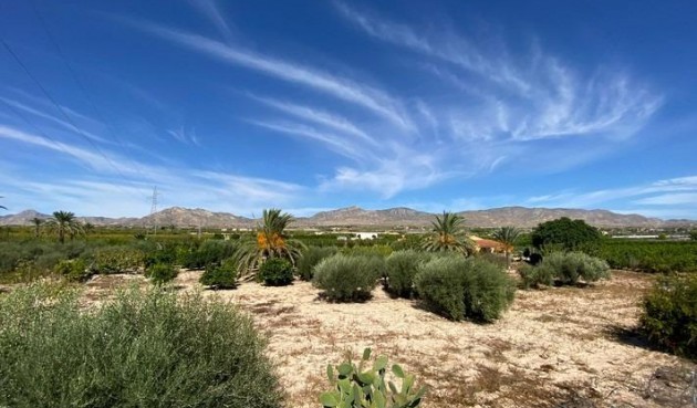 Brukt - Villa -
Albatera - Campo De Albatera